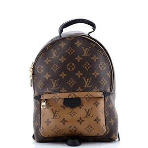 Louis Vuitton Palm Springs Backpack #218619L21B